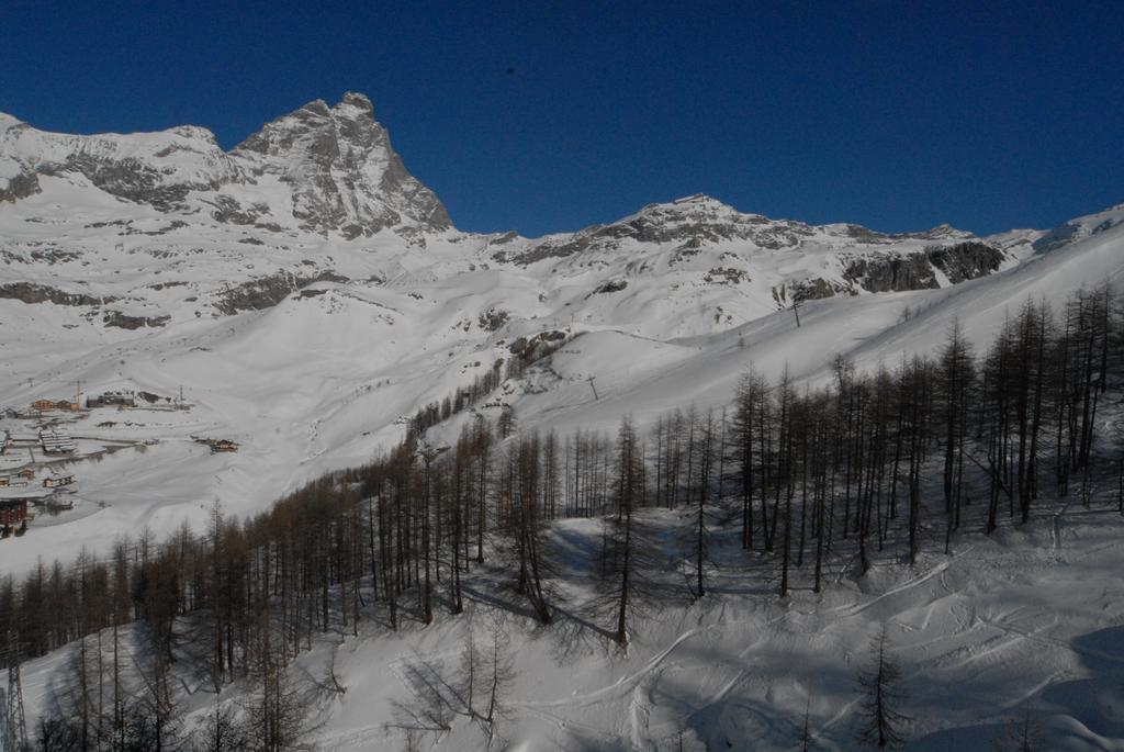 La Coquille Apartment Breuil-Cervinia Eksteriør billede
